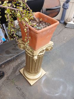 Plant & Stand