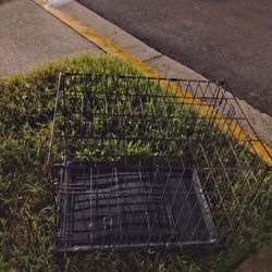 24"Folding Pet Crate Pickup Only Cash 