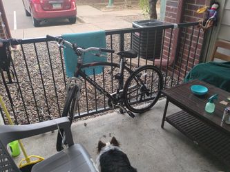 Bike - Shimano "Glendale" Fitness Series