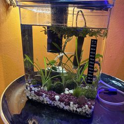 3 Gal Fish Tank ( Everything Included)