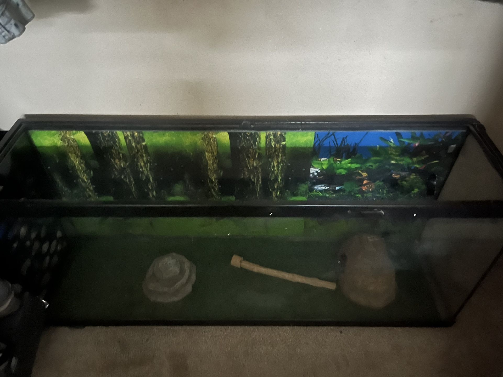 Fish Tank Or Reptile Tank