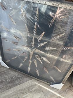 🌊 NEW Exquisite Sliced Shell Artwork – Coastal Elegance for the Discerning Designer 🌊