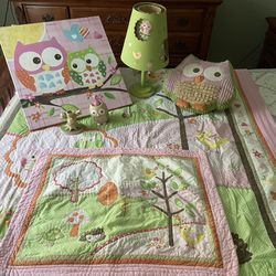 Twin size Bedroom Set - “Owls” - Pink & Green