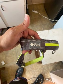 Xxl dog harness led / reflective