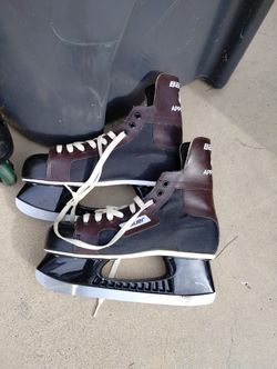 Ice Skate Roller Shoes
