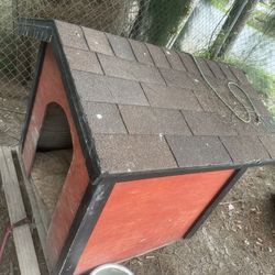 Dog House 
