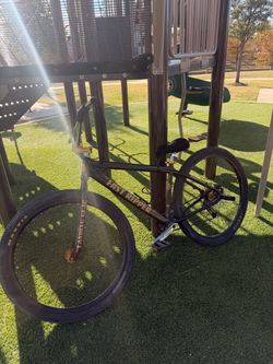 Fast ripper 29 inch se