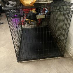 Dog Cage For Sale In Detroit Right Now 