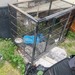 Dog Cage