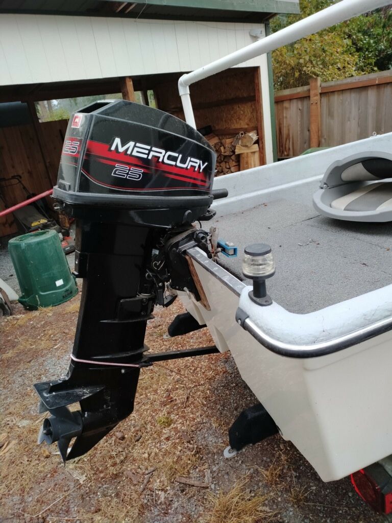 1993 Livingston Double Hull for Sale in Bonney Lake, WA OfferUp