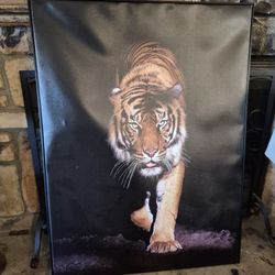 Tiger Wall Art 