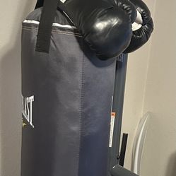 Like new heavy bag with stand and gloves