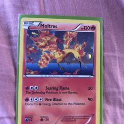 Pokémon Holo Cards