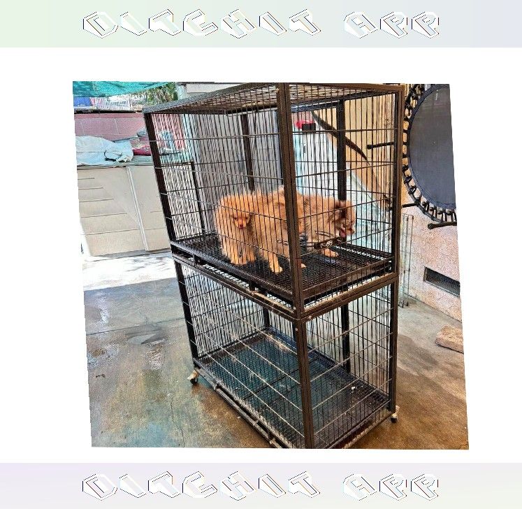 night matter Pet Cages in Different Dimensions to Suit All Pets