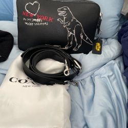 Coach Limited Edition Sketch Bag