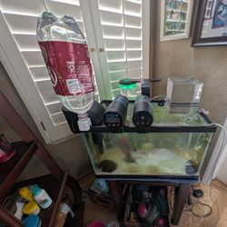 Aquarium, Substrate, Filters, Auto Feeders, White Light, Cycled Water, Heater, Negative Pressure Fish Tank