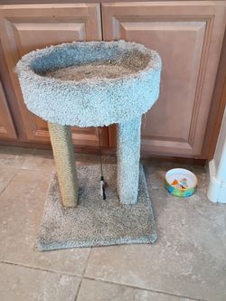 23-in tall cat tree with large bed 13 in in diameter inside measurement Nice condition no tears cash only please