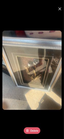 Shadow box Rose Picture Frame