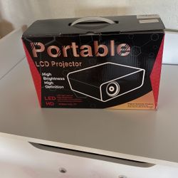 Portable Projector- $40 