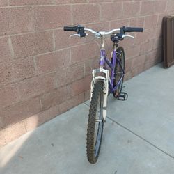 Roadmaster Woman's Mountain Bike