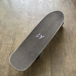 land yachtz skateboard cruiser board