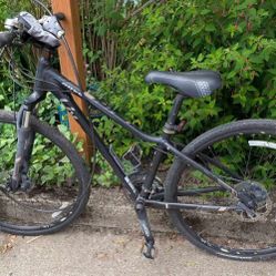 Liv Rove 2DD Women's Bike 