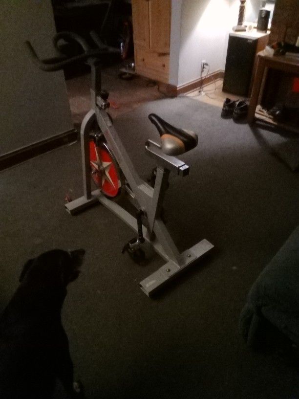 Sunny Health Fitness Exercise Bike