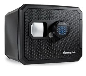 Sentry Safe 0.81 cu. ft. Waterproof and Fireproof Safe for Home with Digital Keypad, Interior Light and Override Keys