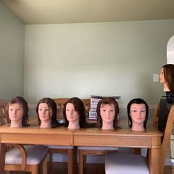 Cosmetology Practice Head / $20. @ Cash