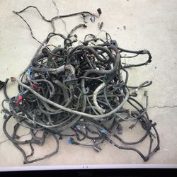 Complete Uncut Wire Harness 