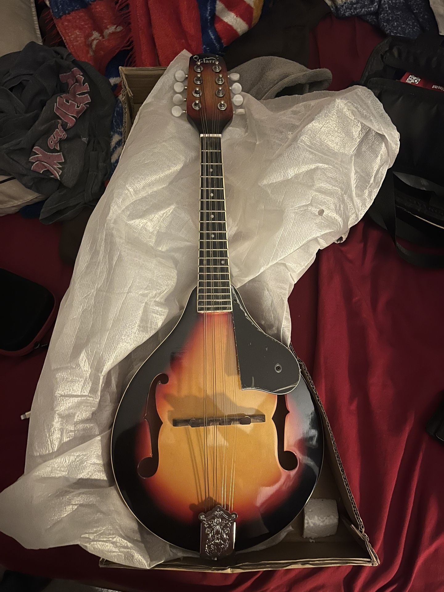 Mandolin Glarry Brand