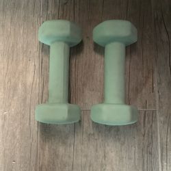 5lb Dumbbells Pair