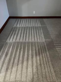 Professional carpet cleaning