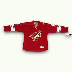 Vintage Arizona Coyotes Reebok NHL Hockey Jersey Men’s XL Mike Smith 