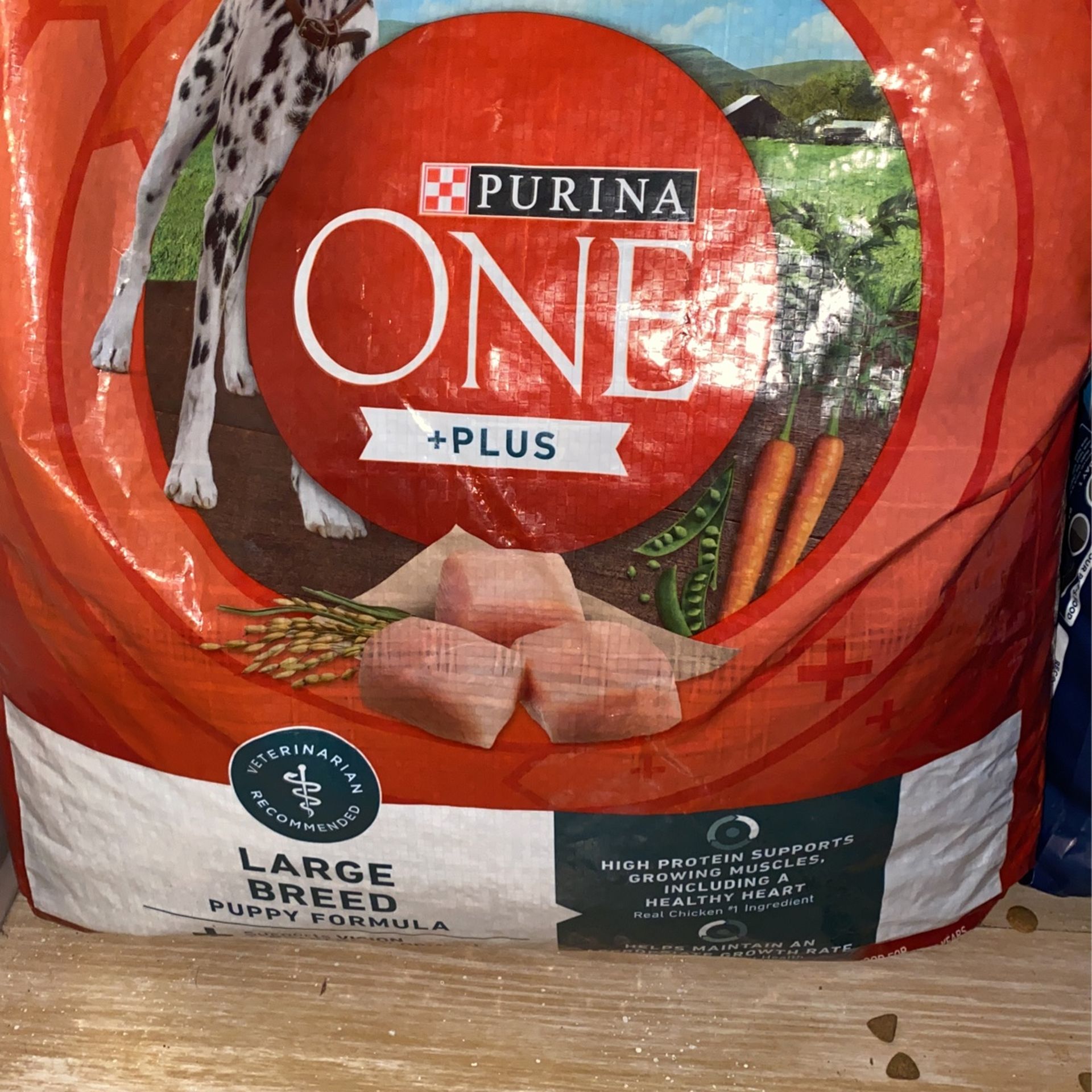 Purina One (puppy)
