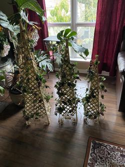 Home Decor