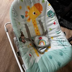 Baby Bouncer