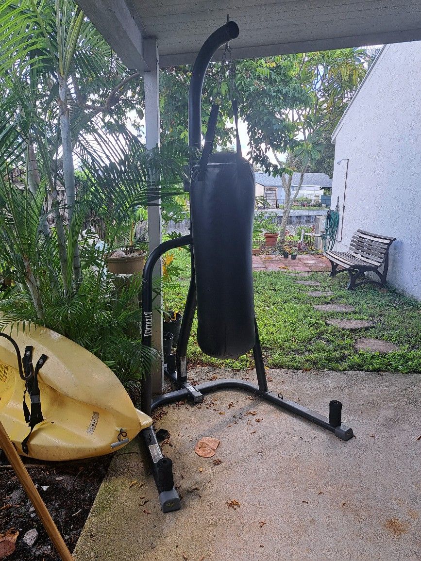 Everlast Punching Bag