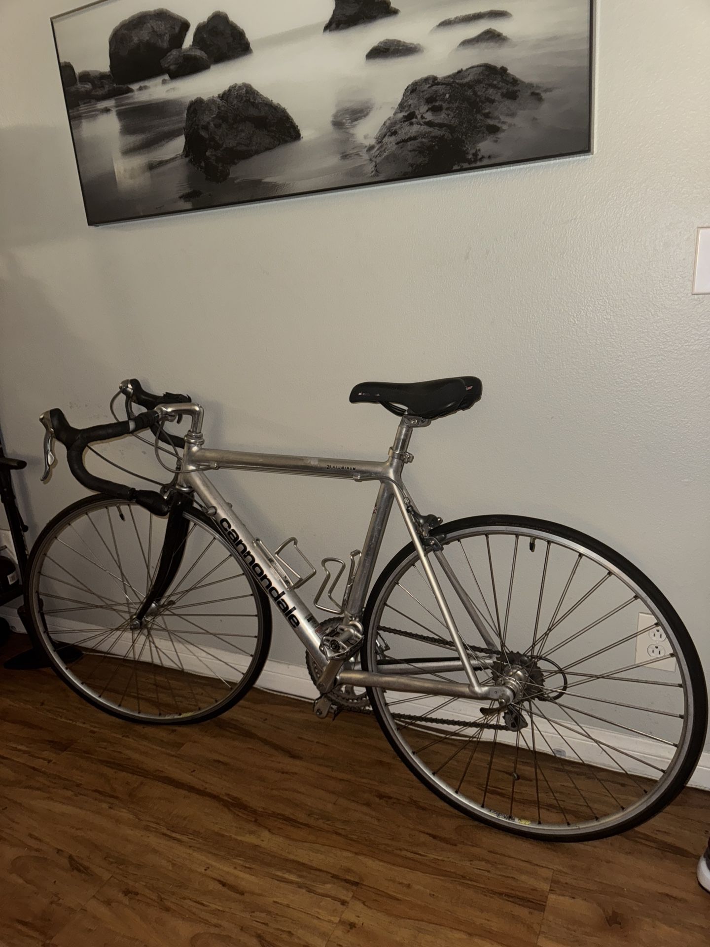 Cannondale Bicycle 
