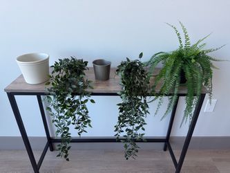 IKEA Plants