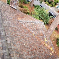 Roof/gutter Cleaning