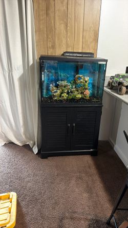 Fish Tank And Stand