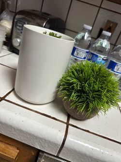 tableto artificial bygrass plant in a rounded cement pot featuring vibrant, spiky green faux foliage cc