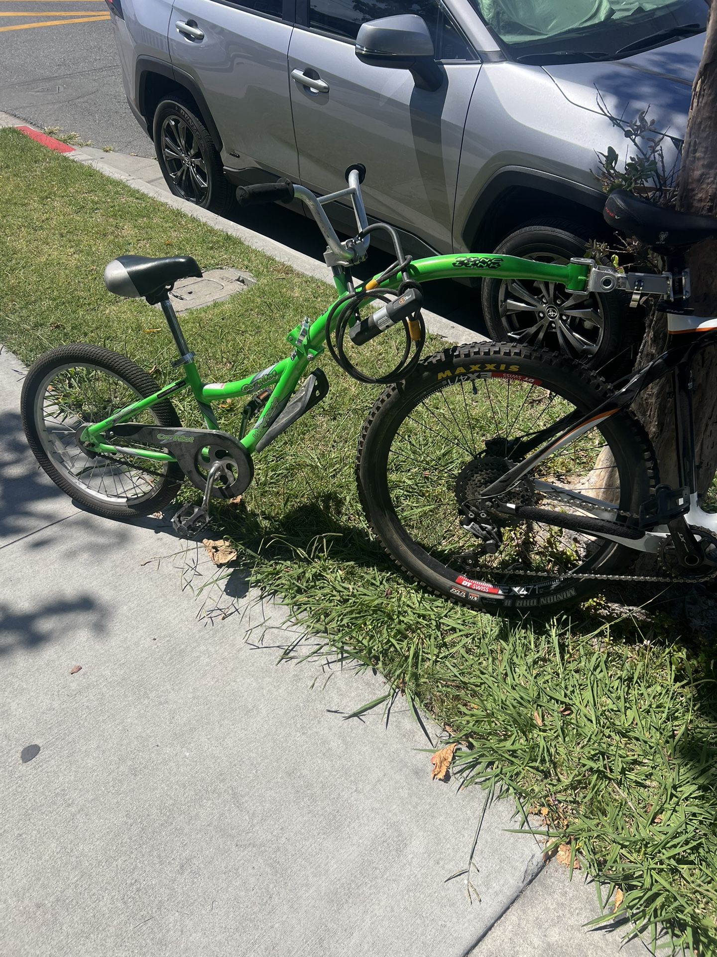 Co-pilot Bike Trailer $50