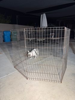 Pet playpen