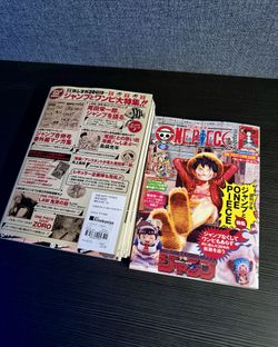 One Piece Magazine Vol. 20 Shonen Jump Special Feature (No Promo Card)