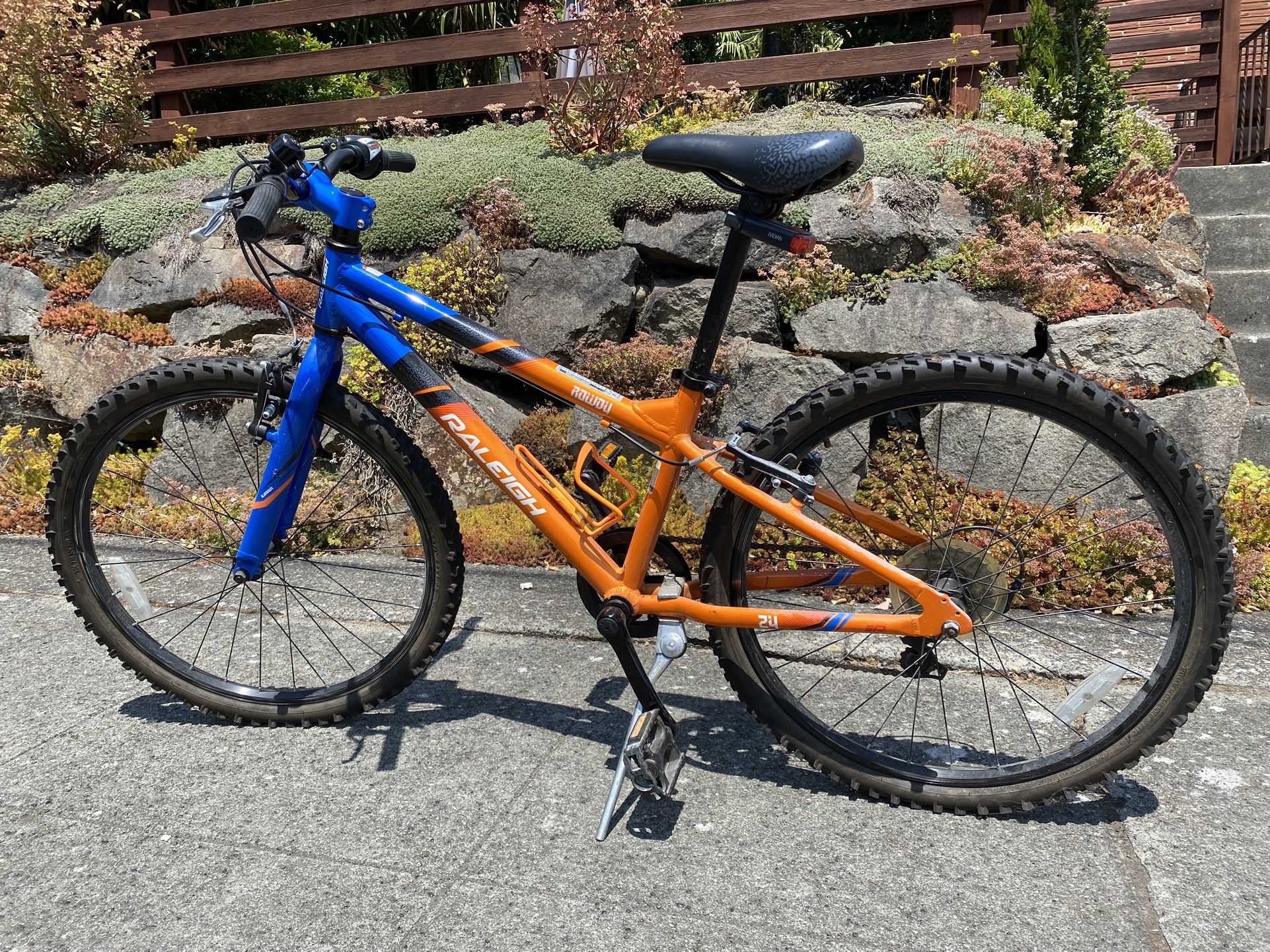 Raleigh rowdy 16 used hotsell