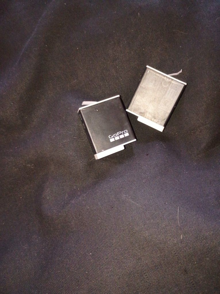 GoPro Enduro Dual Battery
