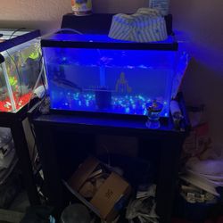 Fish Tank 