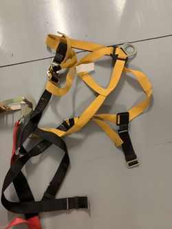 Harness 35 bucks